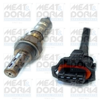 Oxygen Sensor
